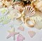 100Pieces Pearl Pink Mermaid Seashell Party Glitter PVC Confetti Seashell Pearls Birthday Decorations Starfish Table Confetti Ocean Party Decorations